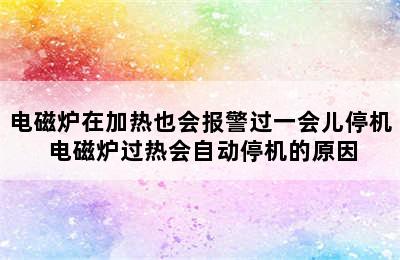 电磁炉在加热也会报警过一会儿停机 电磁炉过热会自动停机的原因